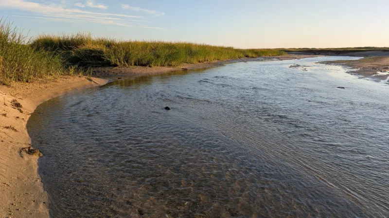 A shallow, rippled channel of water curves between a sandy bank and tall green marsh grass, under a pale blue sky with thin clouds. The light is low and warm.